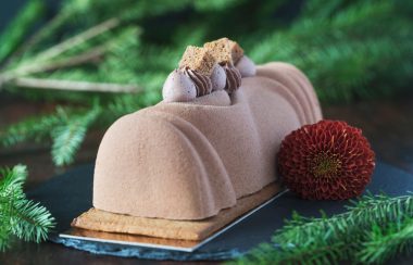 Une bûche de Noël en chocolat devant un arrière plan de branches de sapins.