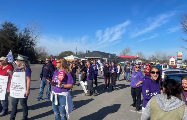 A photo of a plaza parking lot full of people picketing and holding/wearing signs. The sky is blue and the mood is high.