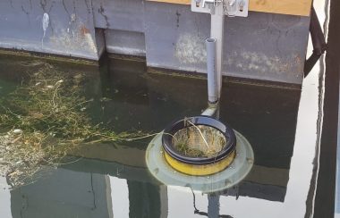 Seabin au quai de Penetanguishene