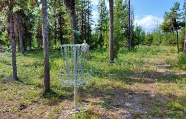 Glen Ingram lines up a 20 foot putt into a disc golf basket at Skillhorn Disc Golf Course in Telkwa, BC.