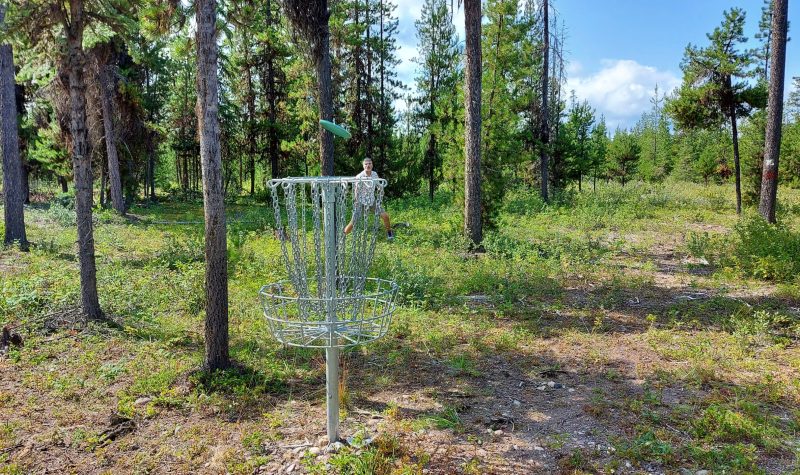 Glen Ingram lines up a 20 foot putt into a disc golf basket at Skillhorn Disc Golf Course in Telkwa, BC.