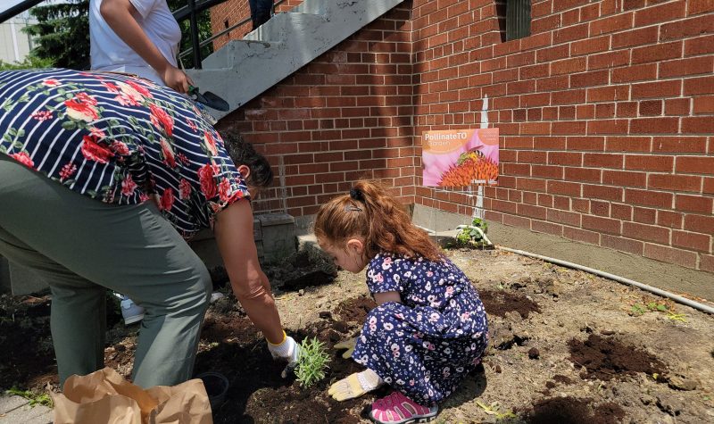 Madre e hija siembran plantas endémicas