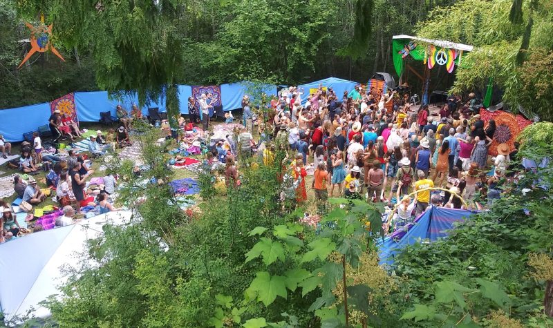 A couple hundred hippies crowd an outdoor stage surrounded by massive bamboo and a coniferous forest.