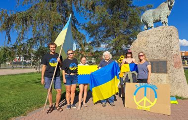 A group of people wave flags and hand made signs painted blue and yellow for Ukrainian Independence Day in late summer. It is a sunny day.