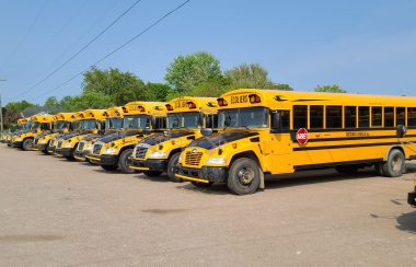 A row of school buses sitting in a dirt parking lot.