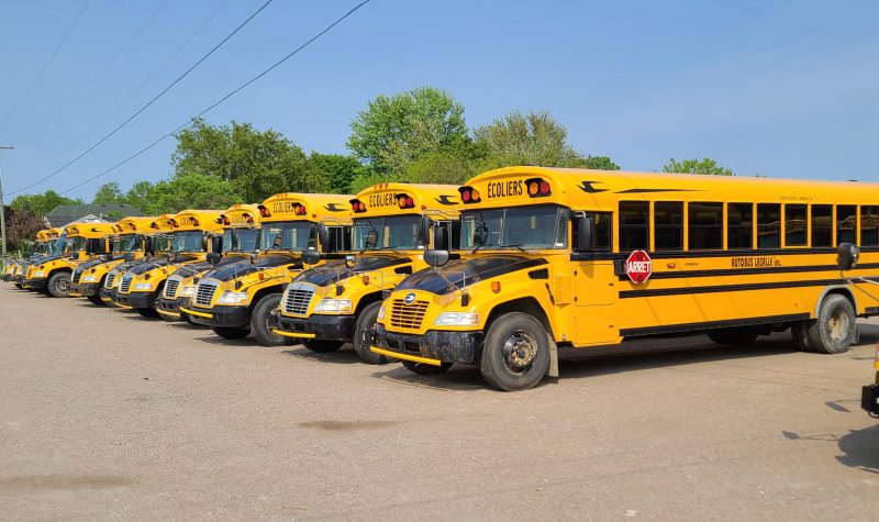 A row of school buses sitting in a dirt parking lot.