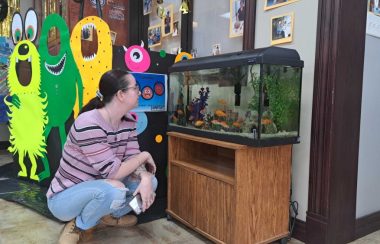 Une femme accroupie et regarde de près un aquarium dans une bibliothèque