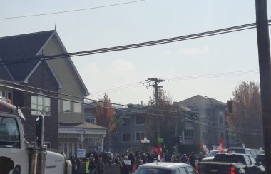 Demonstrators participating in 1 Million March 4 Children gather on a city street. Some demonstrators hold Canadian Flags. A semi-truck is seen in the left side of picture as a procession of traffic drives along the same road.