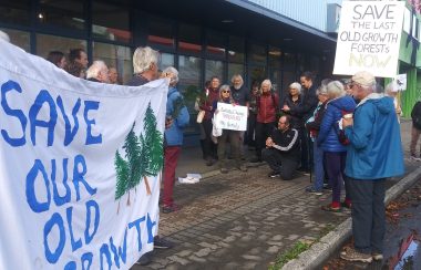 30 protesters hold ‘Protect Old-Growth Forest’ signs outside MLA’s office.
