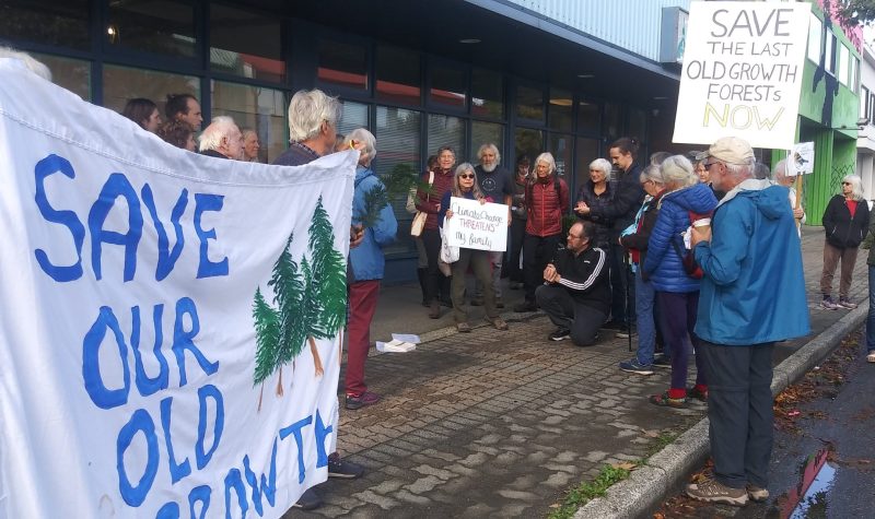 30 protesters hold ‘Protect Old-Growth Forest’ signs outside MLA’s office.