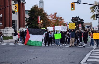 Pro-Palestine protestors obstruct traffic. Many holding signs and flags.