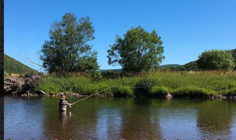 Un homme pêchant dans une rivière par une belle journée ensoleillée.