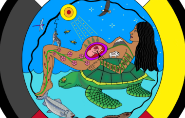 Circle with four direction colors, white on top, black on left side, yellow on right side, red on the bottom of circle, artwork of an pregnant indigenous woman laying on top of a turtle on her back