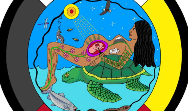 Circle with four direction colors, white on top, black on left side, yellow on right side, red on the bottom of circle, artwork of an pregnant indigenous woman laying on top of a turtle on her back