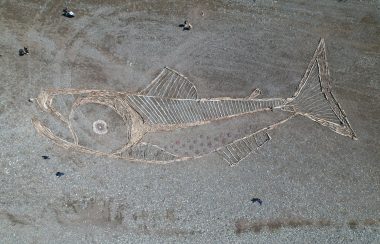 A 100 foot salmon made of driftwood on the bank of the Skeena river. Photo courtesy of Alex Stoney.