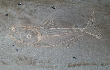 A salmon made of driftwood is seen on the grey bank of a river.