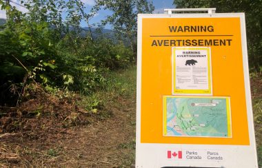 A board with a bear warning and map sits in the forest.