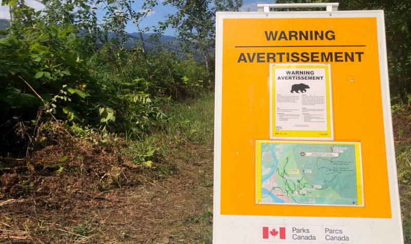 A board with a bear warning and map sits in the forest.