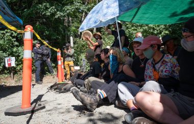 People sit and stand behind a yellow line of police tape in frong of a forest with umbrellas overhead.