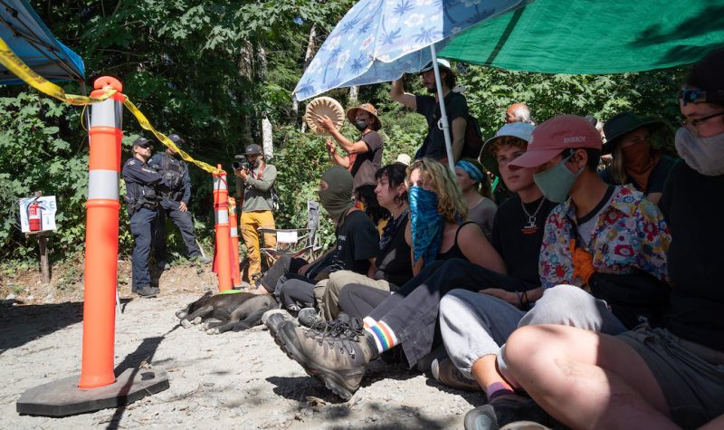 People sit and stand behind a yellow line of police tape in frong of a forest with umbrellas overhead.