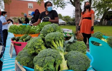 Frutas y verdudas puestas sobre una mesa que la ofrece una mujer