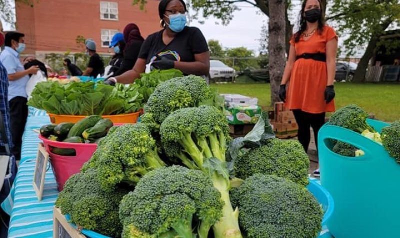 Frutas y verdudas puestas sobre una mesa que la ofrece una mujer