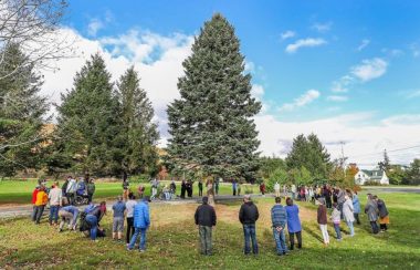 Une foule de gens entourant un arbre de Noël géant dans un champ.