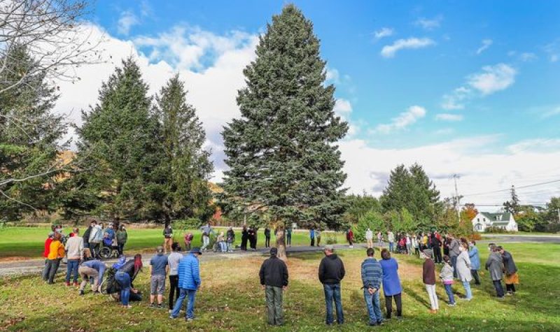 Une foule de gens entourant un arbre de Noël géant dans un champ.