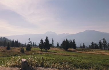 Landscape with mountains in the background.