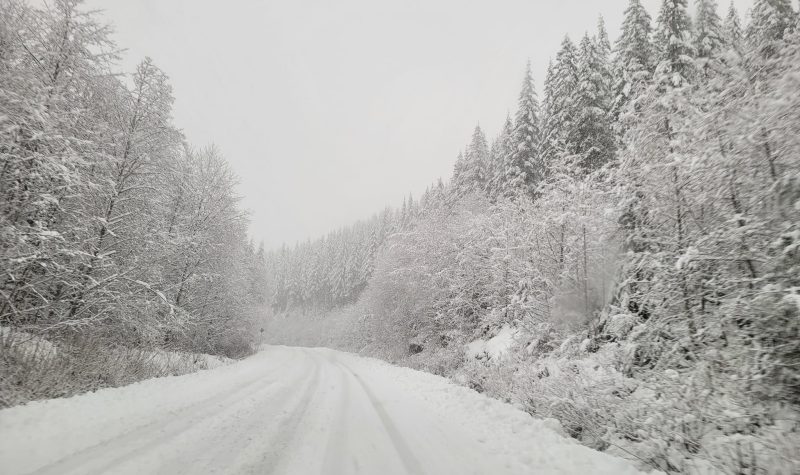route enneigée et arbres des deux côtés recouverts de neige également