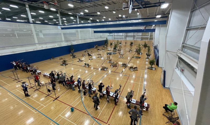A line of archers in a gymnasium, shooting at fake animal targets, otherwise known as 3D archery.