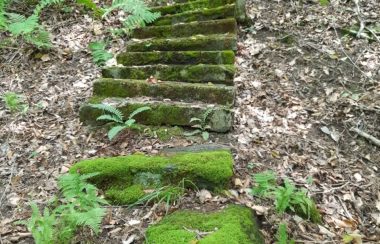 A picture of the stone steps, now covered in moss, leading to the Potton Springs dating back to the 1800s.