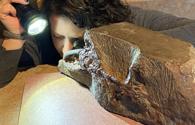 A woman holds a flashlight and leans into a set of fossils.