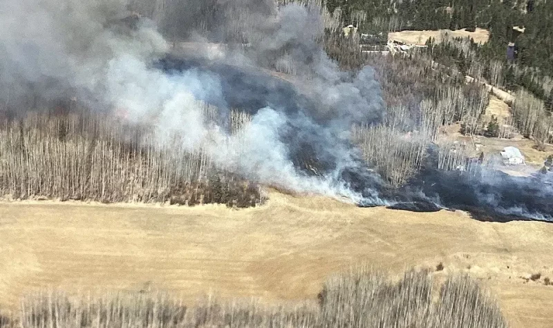 A small wildfire burns through dead trees and grass near Edson. Smoke fills most of the photo.