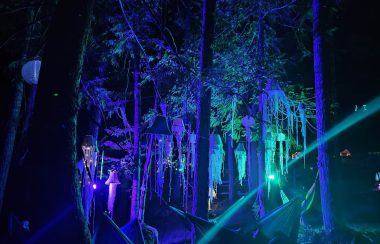 Several jellyfish-like sculptures hang suspended in trees with fluorescent colored lights, and hammocks below.
