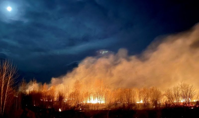 A wildfire burns at night, with the moon shining bright in the top left corner. Weather is cloudy