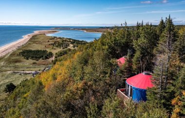 Le fleuve bordé par un champ de forêt