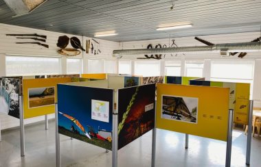 Dans une pièce, plusieurs affiches, bleues et jaunes, tiennent sur des poteaux. Elles sont placées en cubicules. Sur les affiches se trouvent diverses images de la nature et de papillons.