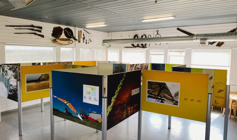 Dans une pièce, plusieurs affiches, bleues et jaunes, tiennent sur des poteaux. Elles sont placées en cubicules. Sur les affiches se trouvent diverses images de la nature et de papillons.