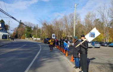 A group of teachers walking the picket line. They are standing in a row at the edge of a paved road and holding signs. A line of orange traffic cones separates them from the roadway.