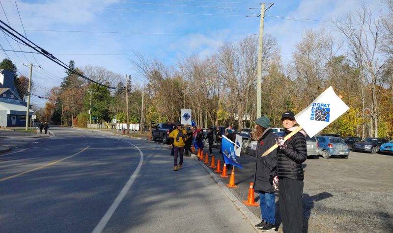 A group of people standing in a row beside a paved highway. They are standing behind a barrier of orange traffic cones and are holding white and blue picket signs.