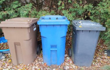 Three waste bins sit on a leafy sidewalk with shrubs behind them. There is a brown compost bin, a blue recycling bin, and a black garbage bin.