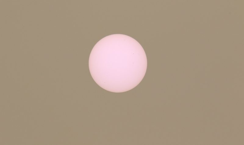 A pink circle against a hazy brown background.