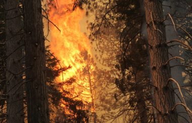 Forest Fire by J Bartlett Team Rubicon/BLM for USFS