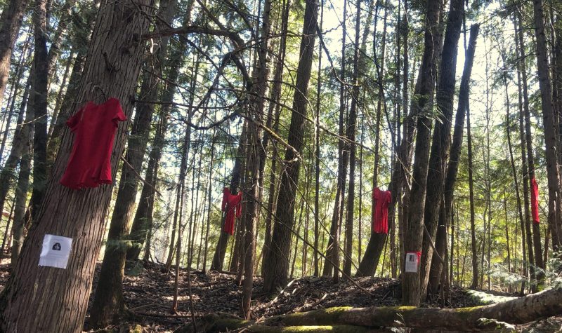 Red dresses hang in a forest
