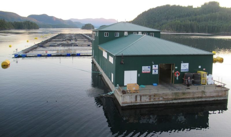 What can an MLA do about fish farms