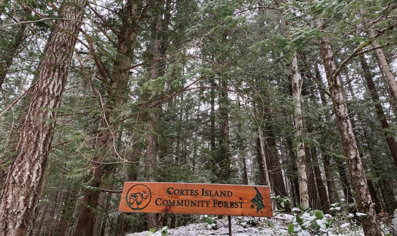 A wooden sign stands on a snowy bank in front of a forest.