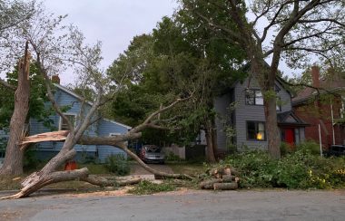 Damage after Hurricane Fiona in Halifax, there are two houses impacted and trees have fallen and are uprooted in front of them.