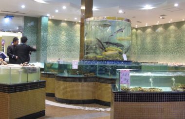 Seafood restaurant / 海鲜 By Old Dragon Head, Shanhaiguan / 山海关 老龙头附近的饭馆 via Flickr (CC BY SA, 2.0 License)