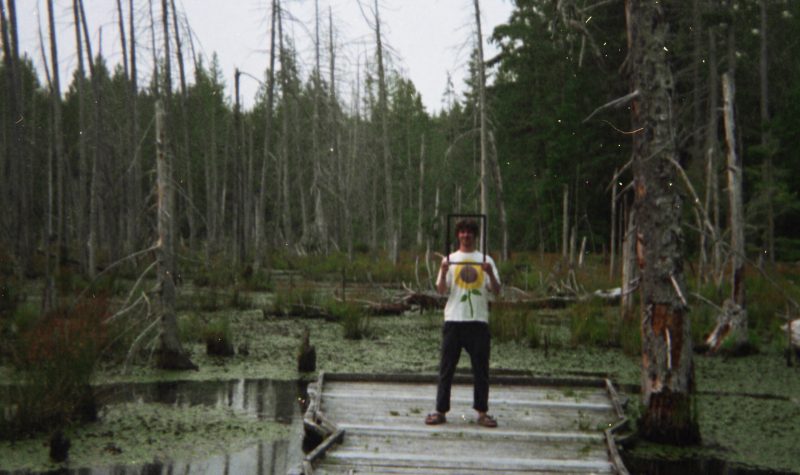 A man wearing a flower shirt, stands on a dock in the middle of a wetland.